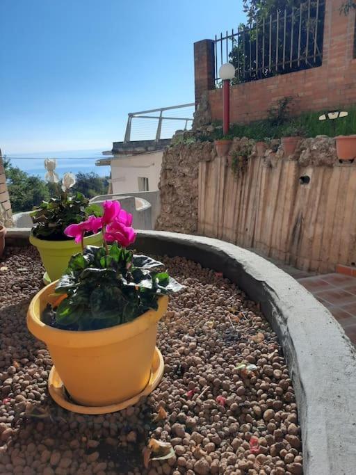 Torre Del Meridiano Casa Vacanze Centrale 테르몰리 외부 사진